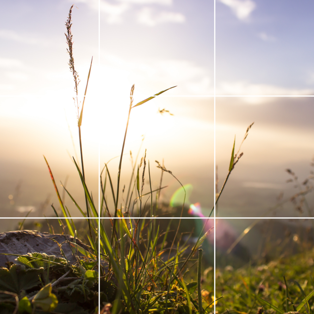 Eva Rauter, Beraterin, Coach, Supervisorin, Spittal an der Drau, Praxis Auenweg