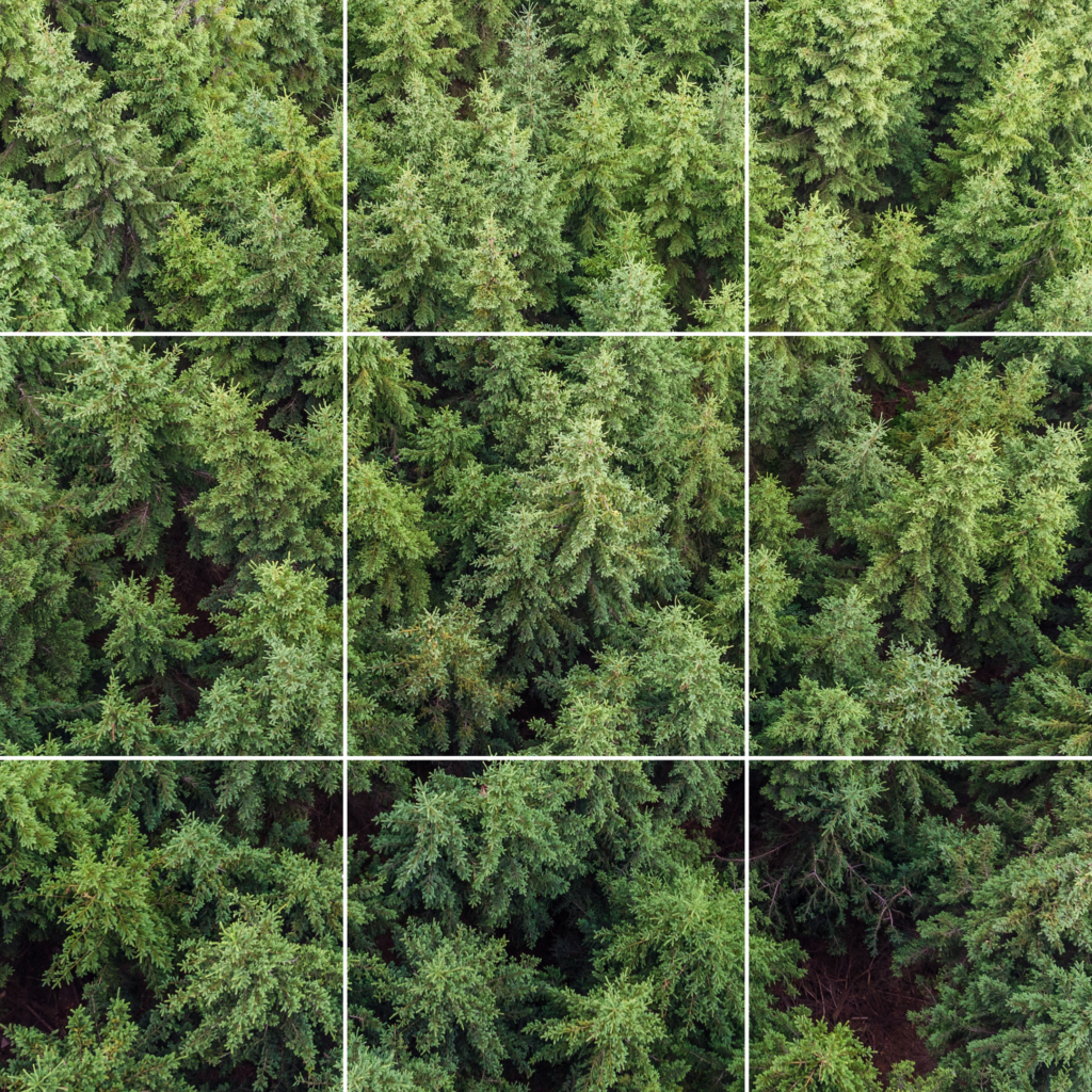 Eva Rauter, Beraterin, Coach, Supervisorin, Spittal an der Drau, Praxis Auenweg