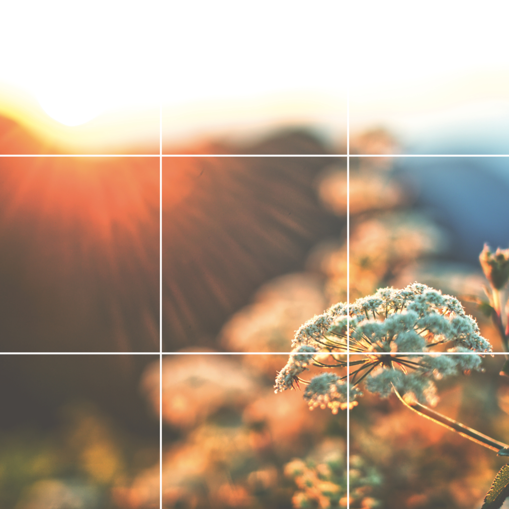 Sonnenaufgang Naturbild Erfolgsgeschichte